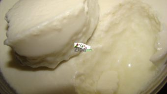 Homemade Yogurt Recipe