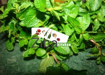 How To Dry Fresh Mint (Homemade)