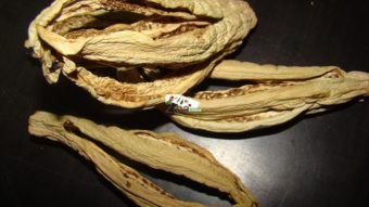 How To Dry Eggplant ? Recipe